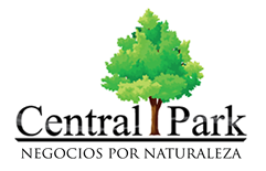 Inicio